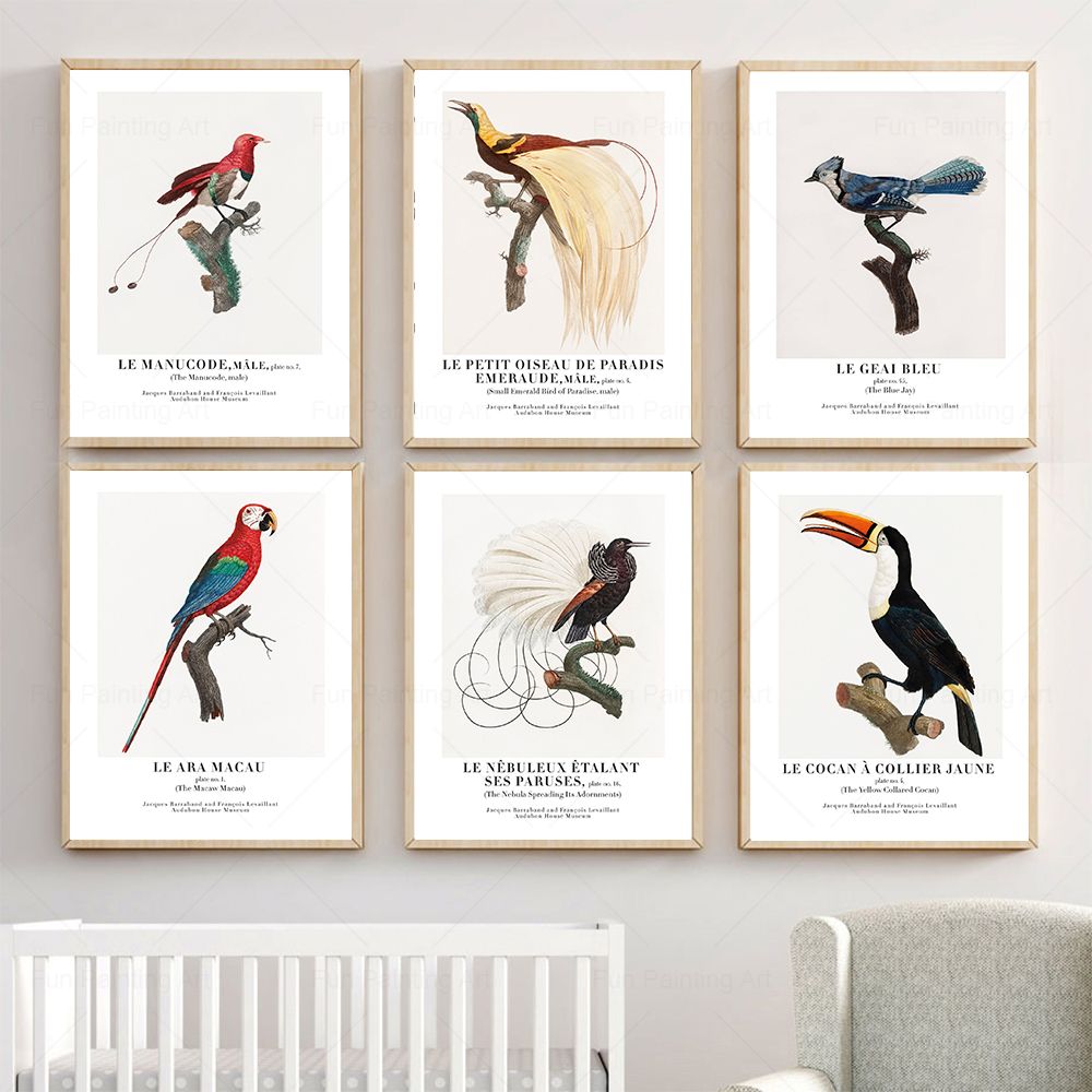 Vintage Paradise Bird Wall Art - Furniture Paradise & Hardware Ghaziabad Reviews บทวิจารณ์และราคา
