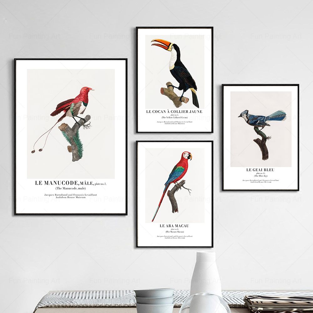 Vintage Paradise Bird Wall Art - Furniture Paradise & Hardware Ghaziabad Reviews บทวิจารณ์และราคา