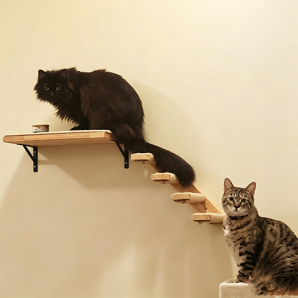 เฟอร์นิเจอร์แมว ราวแขวนไม้เนื้ - Furniture Paradise & Hardware Ghaziabad Reviews บทวิจารณ์และราคา