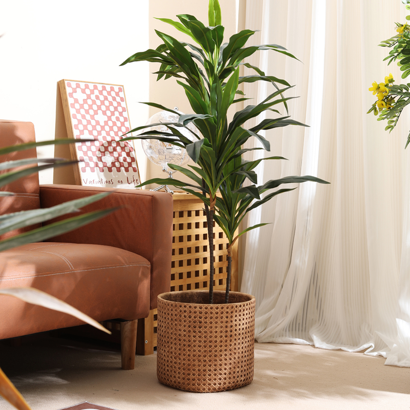 เฟอร์นิเจอร์สำหรับอพาร์ทเมนต์ข - Furniture Paradise & Hardware Ghaziabad Reviews บทวิจารณ์และราคา